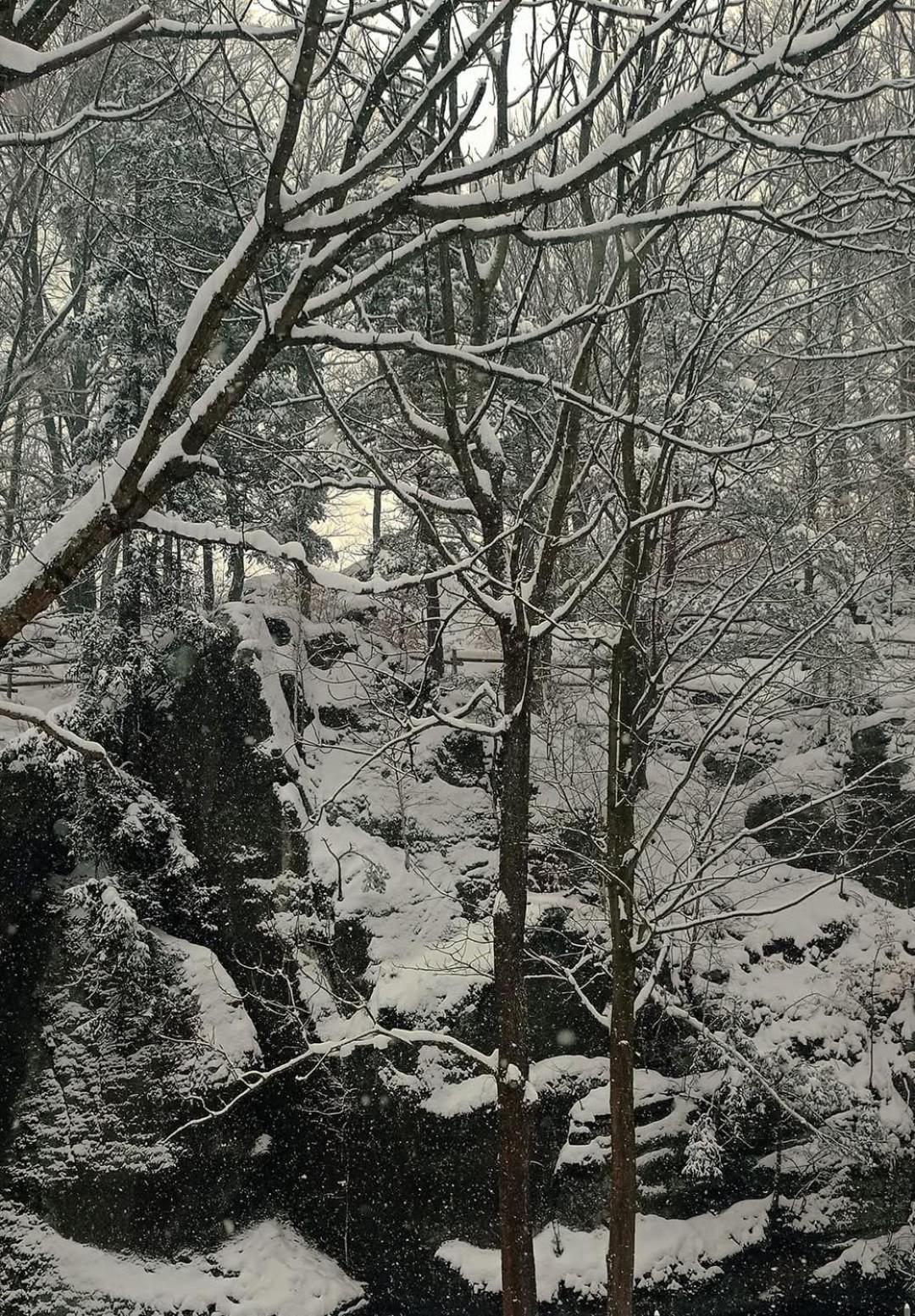 Domek Przy Rozpadlisku Podgórzyn Exterior foto